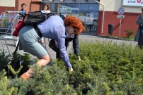 Akcja drzewko za makulaturę w Wejherowie